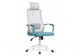 Компьютерное кресло More gray / blue / white (64x60x119)